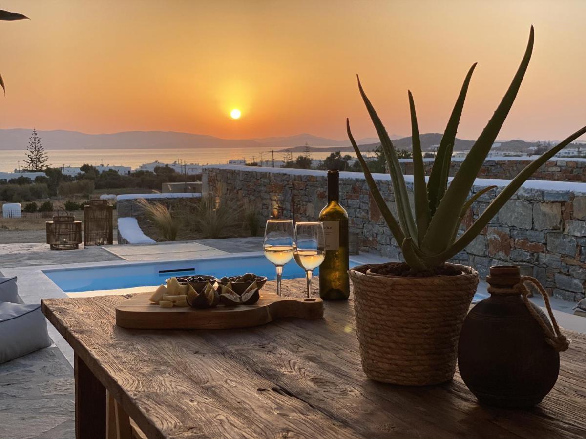 Villa Ypsilon Naxos - Luxury Holiday House With Amazing Sea View & Private Pool Agia Anna  Exterior photo