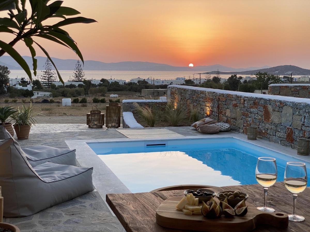 Villa Ypsilon Naxos - Luxury Holiday House With Amazing Sea View & Private Pool Agia Anna  Exterior photo