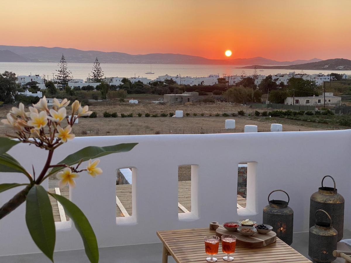 Villa Ypsilon Naxos - Luxury Holiday House With Amazing Sea View & Private Pool Agia Anna  Exterior photo